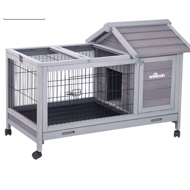 Aivituvin Weather Resistant Small Animal Hutch with Ramp & Reviews Wayfair
